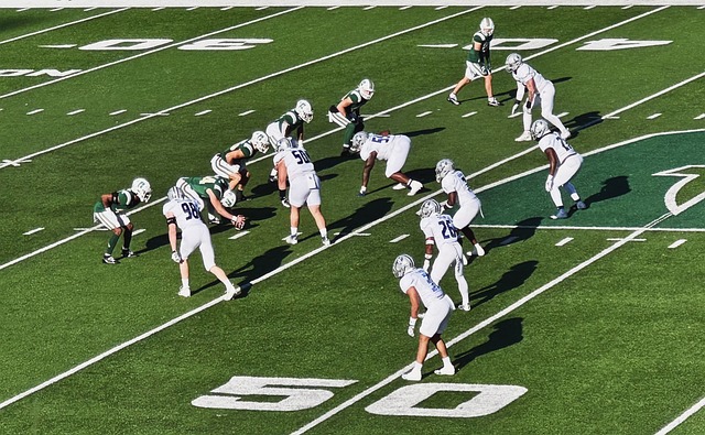 彩的一笔 彩的一笔