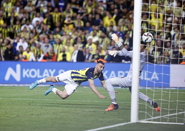 康监测系统 康监测系统