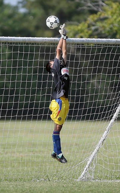 称自己完整 称自己完整