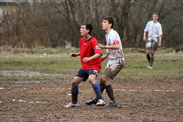 媒體人及籃 媒體人及籃